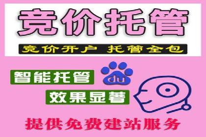 SEM优化策略案例分析
